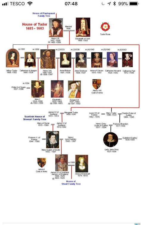 family tudor|tudor family timeline.